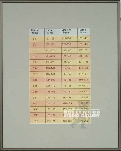 20X16 HEIGHT & WEIGH CHART/SLVR FRM
