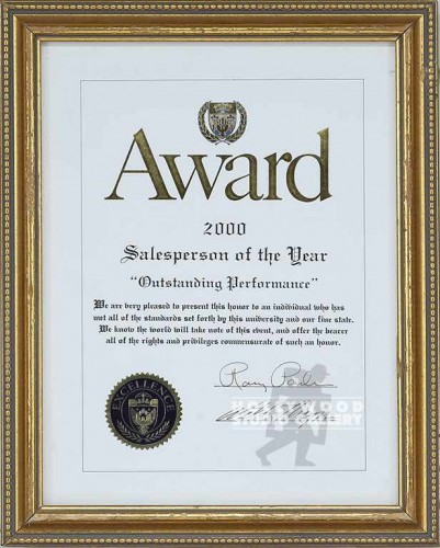13X10 2001 SALESPERSON/YEAR/GOLD FR