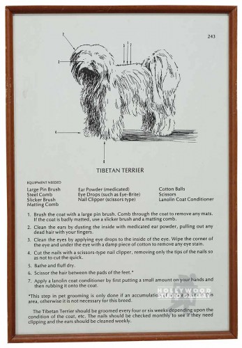 31X21 B/W DOG CHART/WOOD FRM