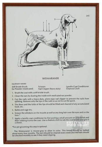 31X21 B/W DOG CHART/WOOD FRM