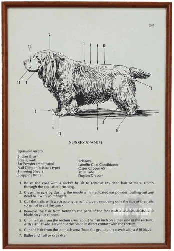 31X21 B/W DOG CHART/WOOD FRM