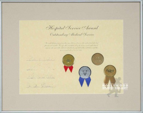 16X20 HOSPITAL SERVICE AWARD
