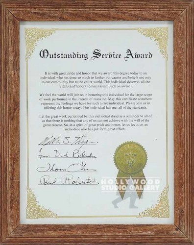 13X10 OUTSTANDING AWARD/BRWN FRM