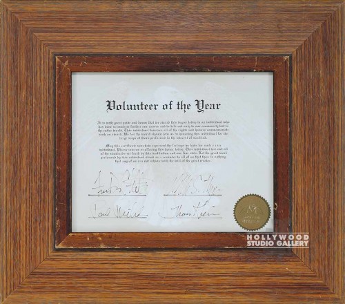 14X16 VOLUNTEER/YEAR AWARD/BRWN FRM