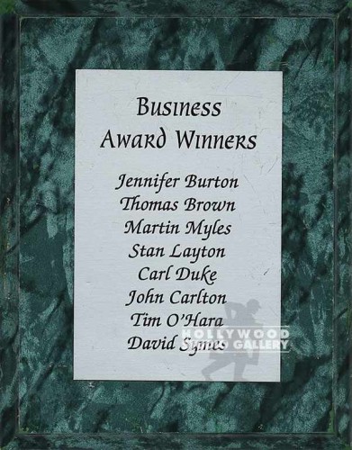9X7 BUSINESS AWARD WINNERS/GRN PLAQ
