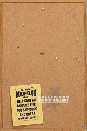 24X36 BULLETIN BOARD