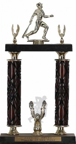 17" TROPHY W/CUP