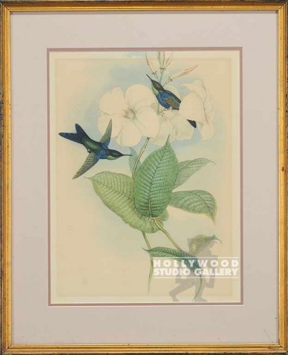 23X19 VINTAGE BIRDTANICAL/ SM. GOLD