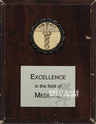 9X7 MED/PLAQUE EXCELLENCE IN THE