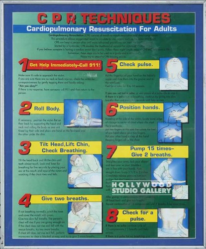 22X18 CPR TECHNIQUES/FRAMD/MAT