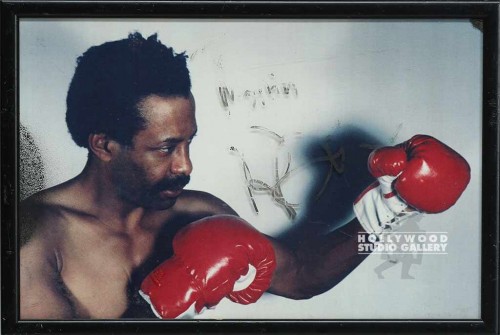 11x17 Black boxer w/red gloves