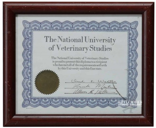 10x12 Veterinary Certificate