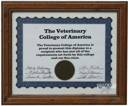 10x12 Veterinary Certificate
