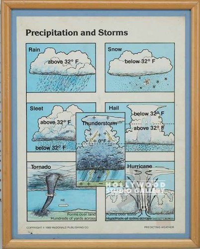 25x20 PRECIPITATION & STORMS CHART
