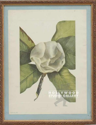 15x11 Botanical/Floral