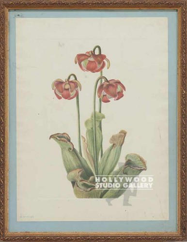 15x11 Botanical/Floral