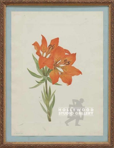 15x11 Botanical/Floral