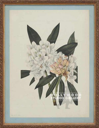 15x11 Botanical/Floral
