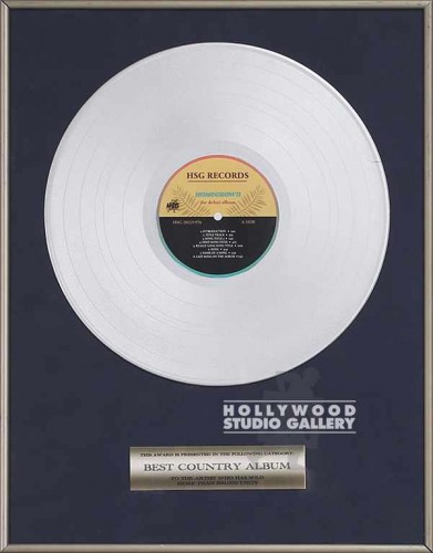 19x15 Framed Silver Record