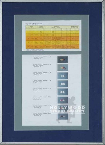 21x15 Medication/Chart/Framed