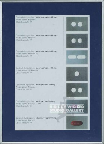 21x15 Medication Chart/Framed