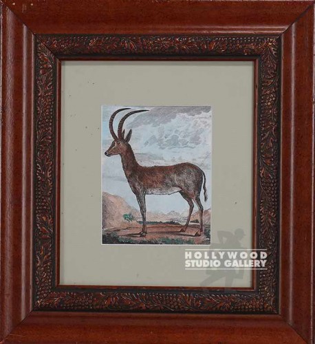 16x15 Tinted Antelope Engraving