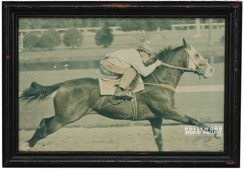 15x21 Race Horse Photograph