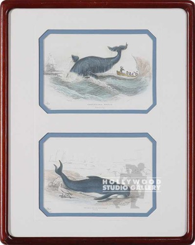 15x12 DBL.WHALE PRINT