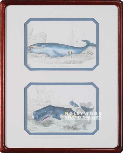 15X12 DBL.WHALE PRINT