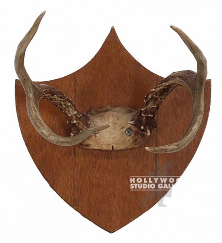 8x7"Mounted Antlers