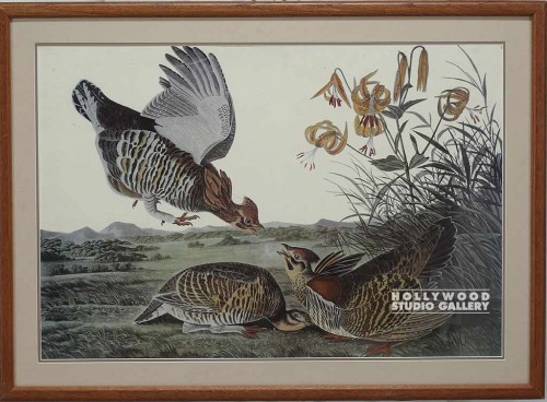 26x25 Pinnated Grouse